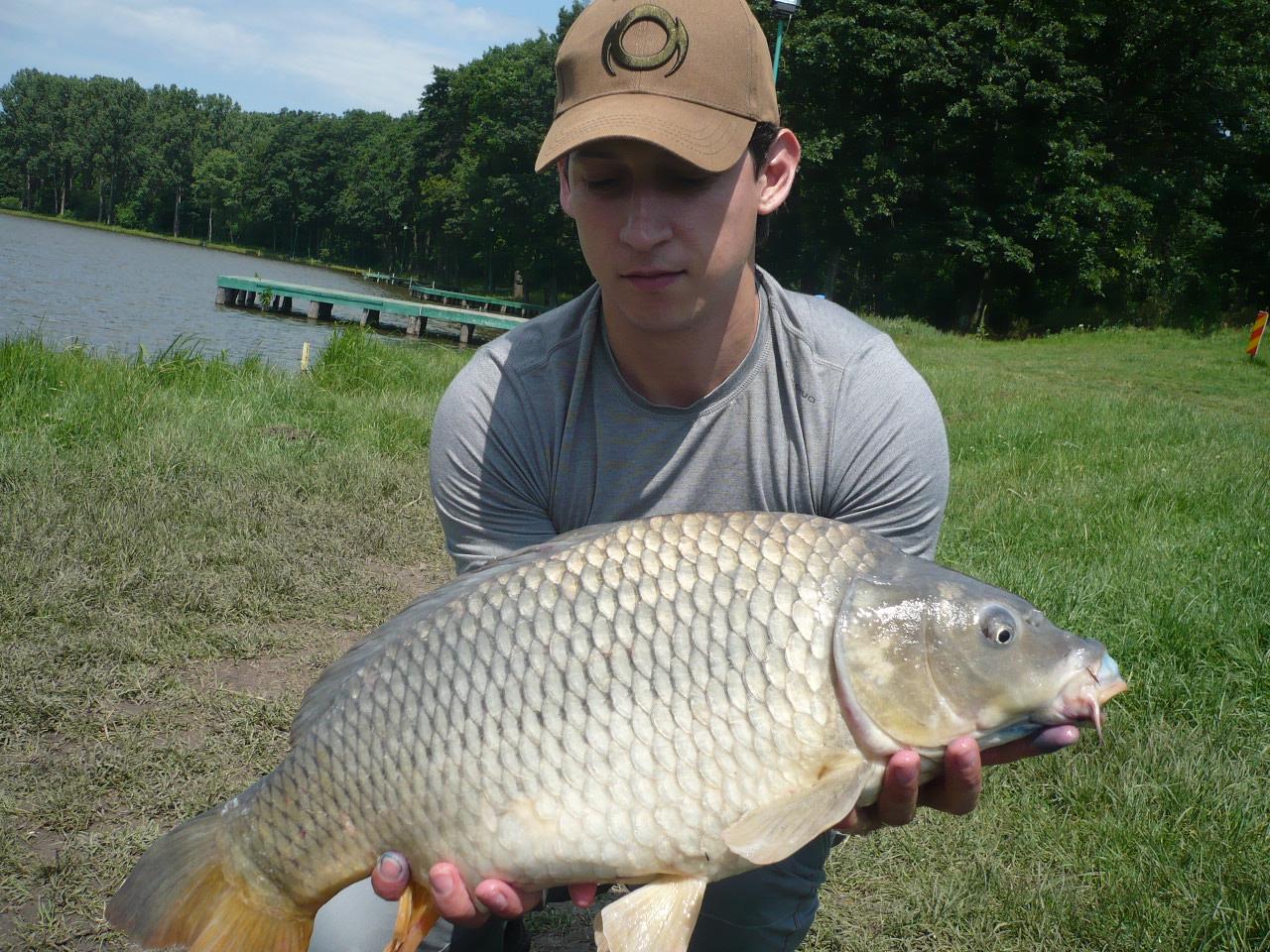 MV2 - 06.IUN.2014 - p1020434.JPG